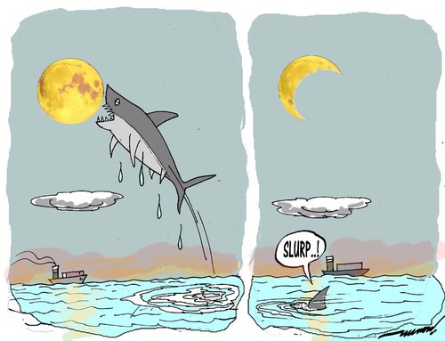 Cartoon: Attack at moonset (medium) by kar2nist tagged moon,shark,attack