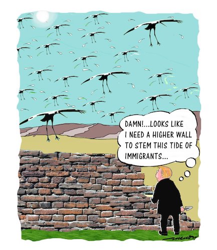 Cartoon: Executive wall (medium) by kar2nist tagged trumpexico,executivedecision