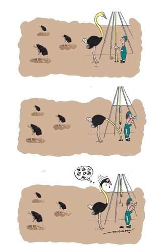 Cartoon: ostrich the opportunist (medium) by kar2nist tagged ostrich,burrying,drilling,desert