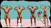 Cartoon: Body Builders (small) by kar2nist tagged body,builder,inflate