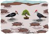 Cartoon: last vestige (small) by kar2nist tagged nature,eforestation,fauna,felling,trees,woodpecker