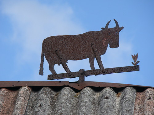 Cartoon: FRÜHLING. SPRING. PAVASARIS (medium) by Kestutis tagged cow,kuh,village,nature,cattle,rind