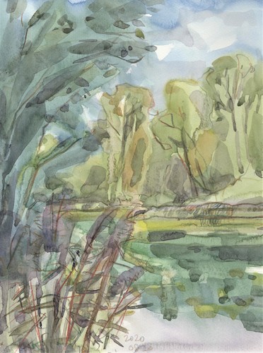 Cartoon: Summer etudes. Overgrown lake (medium) by Kestutis tagged summer,etude,lake,kestutis,lithuania,sketch,watercolor