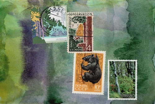 Cartoon: International landscape (medium) by Kestutis tagged landscape,nature,kestutis,lithuania,dada,stamp,forest,wald,postcard