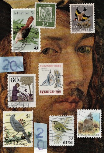 Cartoon: Sermon to Birds and A.Dürer (medium) by Kestutis tagged dürer,albrecht,dada,postcard,kestutis,lithuania,kunst,art