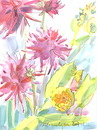 Cartoon: Flowers. Dahlias (small) by Kestutis tagged flowers dahlias sketch blumen watercolor kestutis siaulytis lithuania summer nature