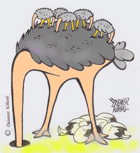 Cartoon: Strausen (medium) by okoksal tagged koeksal