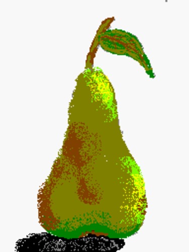 Cartoon: Pear (medium) by Franc tagged pear
