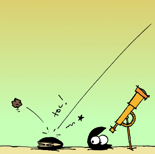 Cartoon: The daily mussel (medium) by Pierre tagged muschel,miesmuschel,astronomie,meteorit,weltuntergang,watt,einschlag,fernrohr
