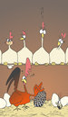Cartoon: - - - (small) by Pierre tagged miesmuschel,hahn,henne,hühnerstall,betrügen,fremdgehen,hahnrei,ei,leopard