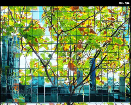 Cartoon: MH - City in Glass III (medium) by MoArt Rotterdam tagged rotterdam,city,stad,glazenstad,glasscity,photoblend,fotomix,summer,zomer,endofsummer,fadingsummer,zomereinde,richtingherfst,autumn,autumnleaves