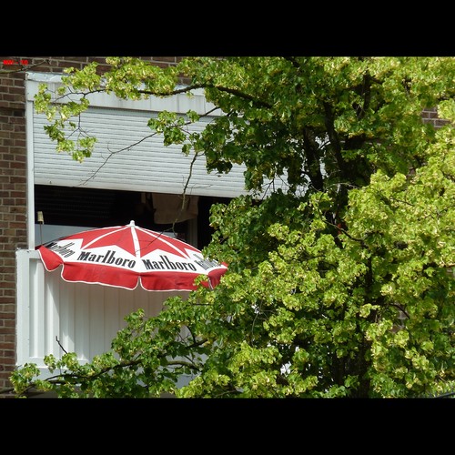 Cartoon: MH - The Marlboro Shade (medium) by MoArt Rotterdam tagged shade,shadow,parasol,umbrella,marlboro,schaduw