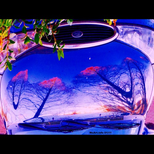Cartoon: MH - Trees on a Ford (medium) by MoArt Rotterdam tagged headlight,koplamp,hood,motorkap,blauw,blue,art,reflection,weerspiegeling,reflectie,auto,car,ford,boom,tree,moart,rotterdam