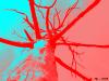 Cartoon: MH - Red Tree (small) by MoArt Rotterdam tagged photoshop,tree,redtree,red,spooky,dead,deadtree