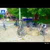 Cartoon: MH - Urban Jungle VI (small) by MoArt Rotterdam tagged stadswildernis stadsjungle urbanjungle cityjungle fietsen bikes dordrecht