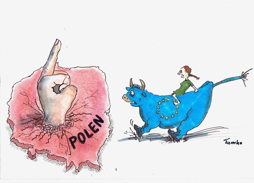 Cartoon: Polen (medium) by Skowronek tagged rechte,europa,stier,eu,polen