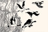 Cartoon: bird (small) by damayanthi tagged bird