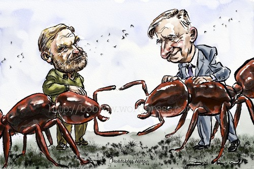 Cartoon: Hölldobler and Wilson (medium) by Bob Row tagged entomology,superorganism,ants,science,sociobiology