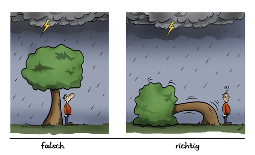 Cartoon: Richtiges Verhalten bei Gewitter (medium) by subbird tagged gewitter,wetter,blitz,baum