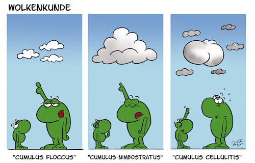 Cartoon: Wolkenkunde (medium) by subbird tagged wetter,wolken,cumulus,frosch,frösche,wetterfrosch,cellulitie