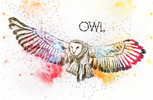 Cartoon: Owl (medium) by themorn tagged owl,bird,wing,feather,night,animal,life