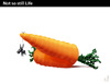 Cartoon: NOT SO STILL LIFE (small) by PETRE tagged volonty,wisdom,decisions,targets,carrots,donkey,suggestions
