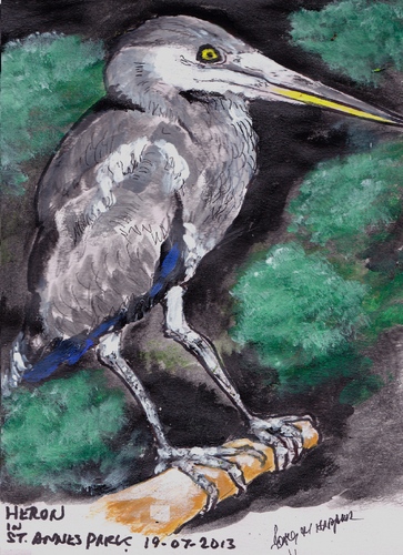 Cartoon: Heron (medium) by jjjerk tagged heron,bird,wading,saint,annes,park,cartoon,dublin,ireland