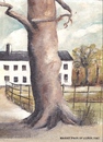 Cartoon: Marley Park (small) by jjjerk tagged marley,park,rathfarnum,dublin,14,ireland,cartoon,tree,house