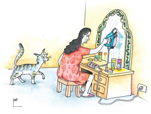 Cartoon: Woman make-up (medium) by LAP tagged mirror,woman,iron,make,up,makeup,cat,beauty,looking,glass