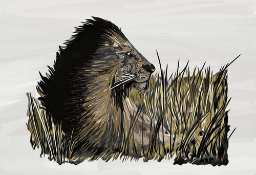 Cartoon: Lion around (medium) by tonyp tagged lion,arp,tonyp,wind,field,animal,africa