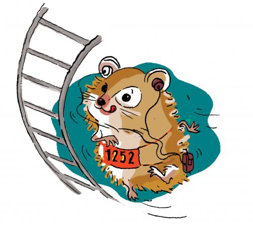 Cartoon: hamster (medium) by dloewy tagged hamster,pet