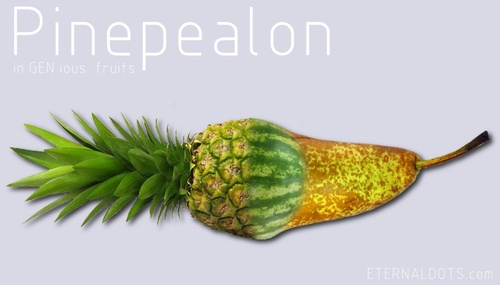 Cartoon: Pinepealon (medium) by eternaldots tagged mix,gen,fruit,melon,pear,pineapple