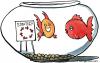 Cartoon: Strategy in a small goldfishBowl (small) by Frits Ahlefeldt tagged fish,goldfish,strategy,life,people,consultant,plan,business,swim,fishes
