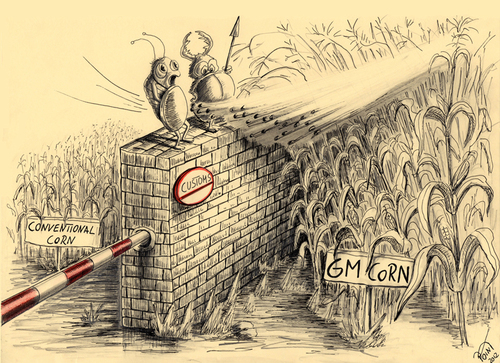 Cartoon: green wall (medium) by Parallelallee tagged gen,mais,ernährung,grün,grenzen,industrie