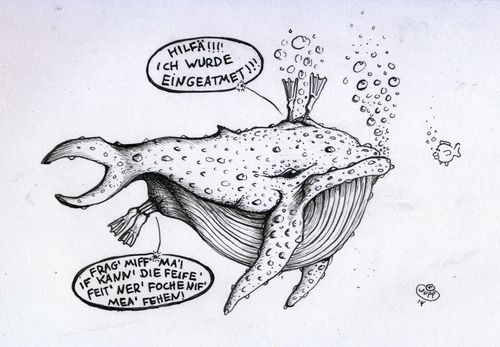 Cartoon: Wal (medium) by Jupp tagged wal,sea,ocean,diver,taucher,jupp,cartoon
