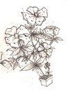 Cartoon: Flower sketch (small) by Playa from the Hymalaya tagged flower,blume