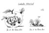 Cartoon: Wurm (small) by Stuttmann tagged wurm,cdu,fdp