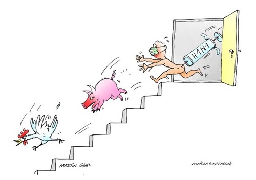 Cartoon: schweine grippe h1n1 swine flue (medium) by martin guhl tagged schweine,grippe,h1n1,swine,flue,vogel,bird