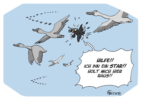 Cartoon: Amsel Drossel Fink und... (medium) by FEICKE tagged dschungelcamp,rtl,ich,bin,ein,star,vogel