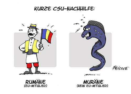 Cartoon: CSU-Rumäne (medium) by FEICKE tagged rumänien,rumäne,muräne,wortspiel,nachhilfe,csu,politik,seehofer,warnung,rumänien,rumäne,muräne,wortspiel,nachhilfe,csu,politik,seehofer,warnung