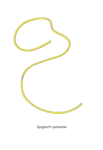 Cartoon: Spaghetti polonaise (medium) by Erwin Pischel tagged spaghetti,spagetti,nudeln,pasta,teigwaren,teig,küche,kochen,essen,polonaise,polonäse,reihentanz,reihe,pischel