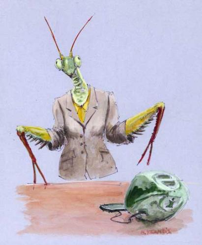 Cartoon: mantis (medium) by neophron tagged satire,caricature,animals,tiere