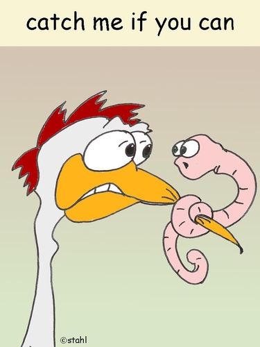Cartoon: catch me if you can (medium) by wista tagged catch,me,if,you,can,wurm,fangen,vogel,huhn,knoten