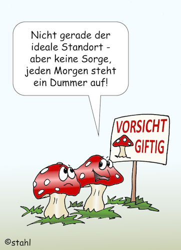 Pilzsaison Pilzsaison