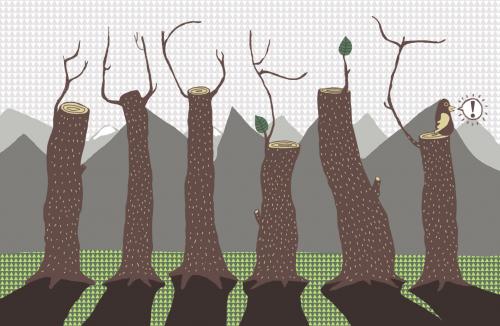 Cartoon: angry trees (medium) by Holger Herrmann tagged baum,holz,abholzung,umweltzerstörung,fluchen,ressources,,baum,stamm,holz,abholzung,umweltzerstörung,waldsterben,waldrückgang,fluchen,rohstoff,baustoff,vogel