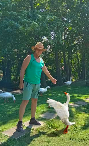 Cartoon: no text (medium) by Miro tagged no,text