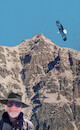 Cartoon: no comment (small) by Miro tagged no,comment
