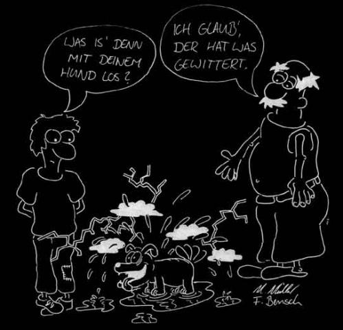 Cartoon: Hundegewitter (medium) by Newbridge tagged hund,witterung,gewitter,frage