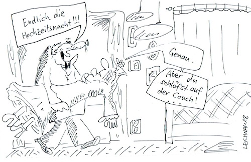 Cartoon: Tja ... (medium) by Leichnam tagged leichnam,leichnamcartoon,hochzeitsnacht,couch,befehl