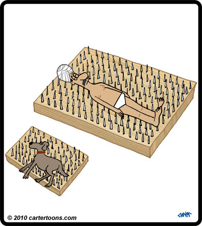 Cartoon: Nail bed for the dog (medium) by cartertoons tagged nail,bed,dog,entertainer,india